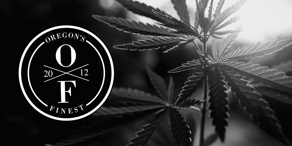 Oregon's Finest logo - a circle around the letters O and F separated by an X with the year 2012 - in front of a black and white photo of a weed plant with the sun peeking through